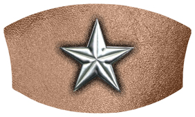 DNSWILL 430 SL BZ Star Silver Bronze